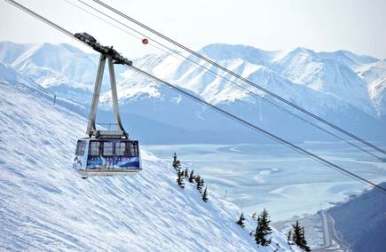 Top Hospitality & Gastronomy in Alaska