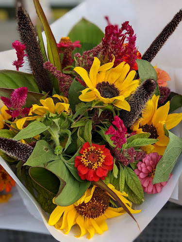 Comentarii opinii despre North Beach Farmers Market