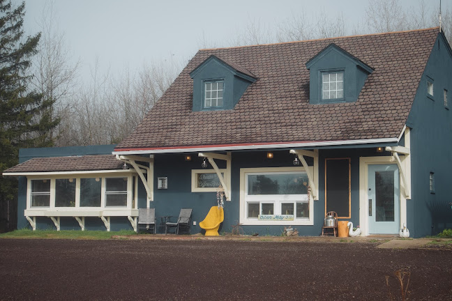 Dream Cloud Coffee Roasters - Hospitality and gastronomy