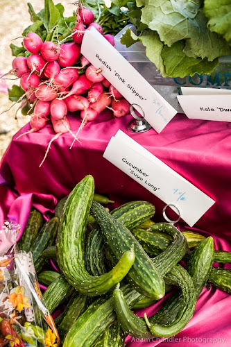 sundaybrunchfarmersmarket.com