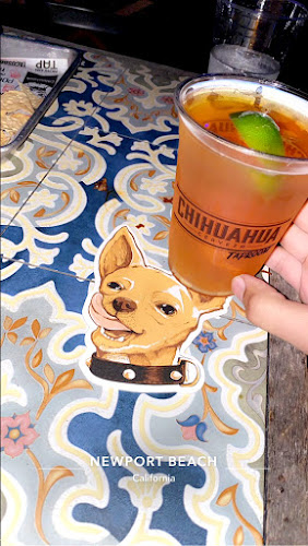 Chihuahua Cerveza Taproom - Hospitality and gastronomy