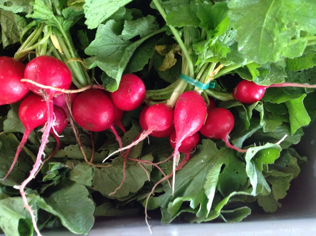 Dimond Hill Farm - Concord