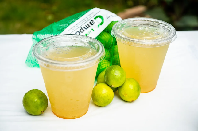 SmoothGinger Smoothie & Juice Bar - Calumet City