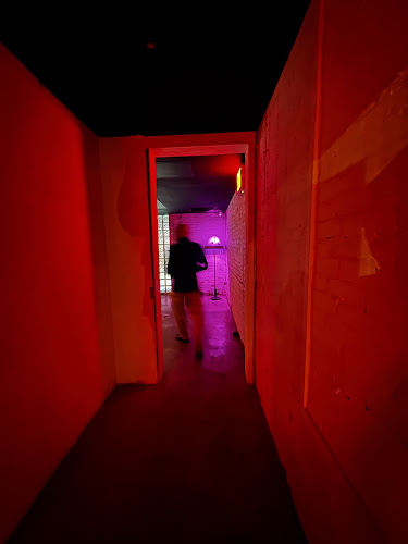 Opinii despre Ciao Ciao Disco în Brooklyn - Hospitality and gastronomy