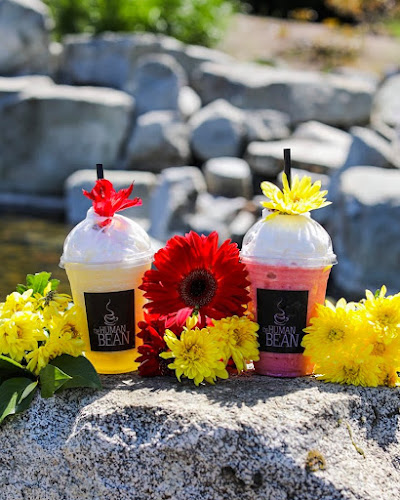 Comentarii opinii despre The Human Bean