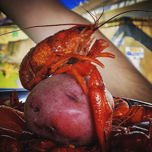 Opinii despre The New Potato în Houston - Hospitality and gastronomy