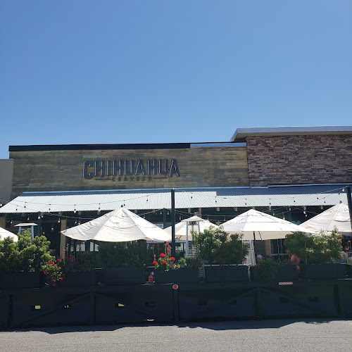 Chihuahua Cerveza Taproom - Hospitality and gastronomy