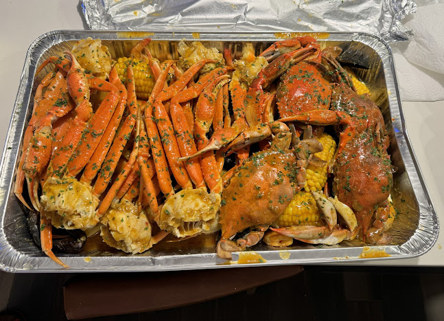 7107 N Nebraska Ave, Tampa, FL 33604