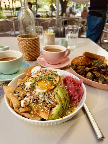 Box St. All Day Brunch - Hemisfair