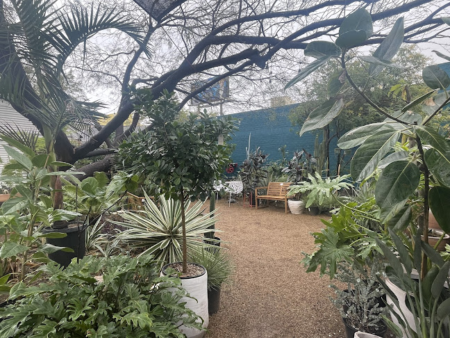 Comentarii opinii despre Caffio Espresso Bar