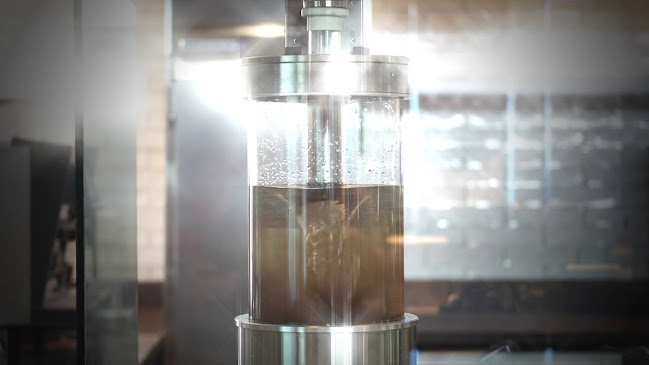 Opinii despre Havana Savannah în Valencia - Hospitality and gastronomy