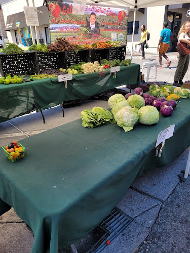 San Carlos Farmers' Market Phone number