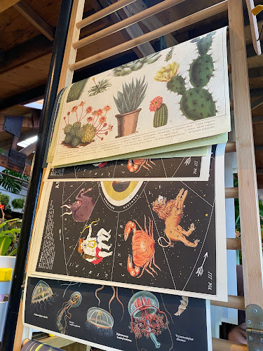 Caffio Espresso Bar - Hospitality and gastronomy