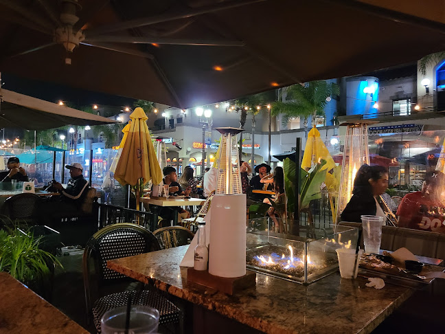 Baja Sharkeez - Hospitality and gastronomy