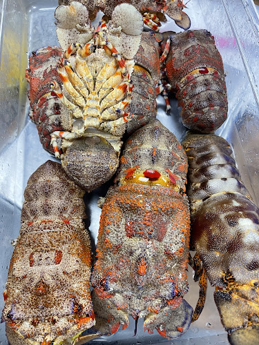 7118 Stirling Rd, Hollywood, FL 33024