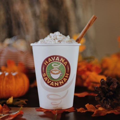 Havana Savannah - Valencia