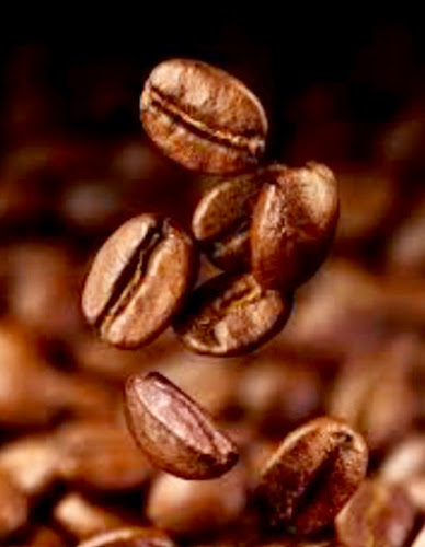 901 Washington Ave S, Minneapolis, MN 55415