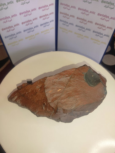 Eddie's Liquior Jr Market - Hospitality and gastronomy