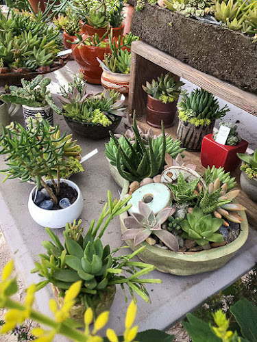 Sunday Brunch Farmers Market Open Times