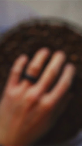 Opinii despre CLO Coffee Co. în Jersey City - Hospitality and gastronomy