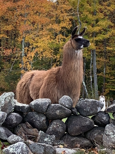 Dimond Hill Farm - Hospitality and gastronomy