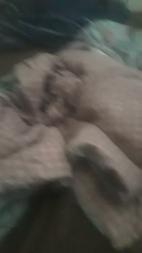 13860 Wellington Trace #21-22, Wellington, FL 33414