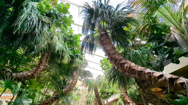 Claim Jumper Restaurants - Hospitality and gastronomy