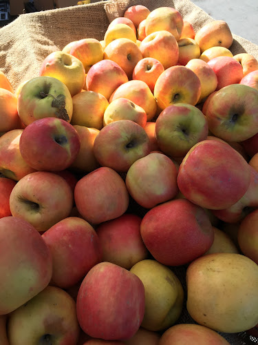 1635 Purdue Ave, Los Angeles, CA 90025