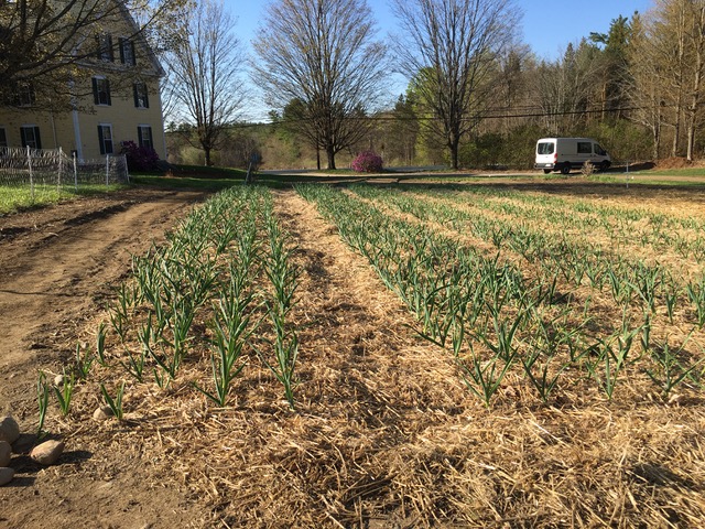 Dimond Hill Farm - Hospitality and gastronomy