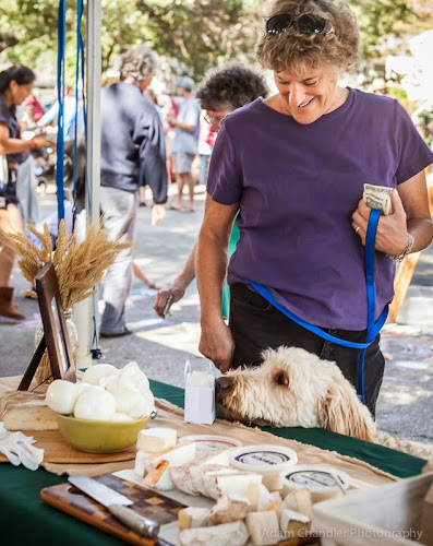 Sunday Brunch Farmers Market Phone number