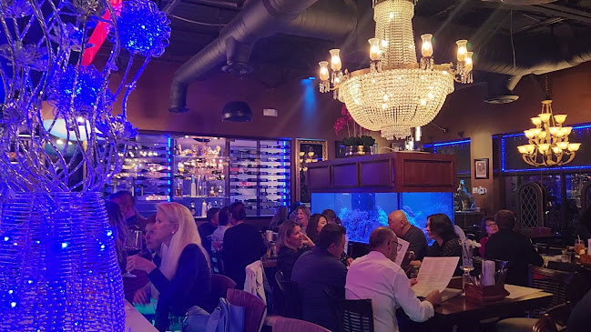 Opinii despre Kontiki Wine & Raw Bar Restaurant în Wellington - Hospitality and gastronomy