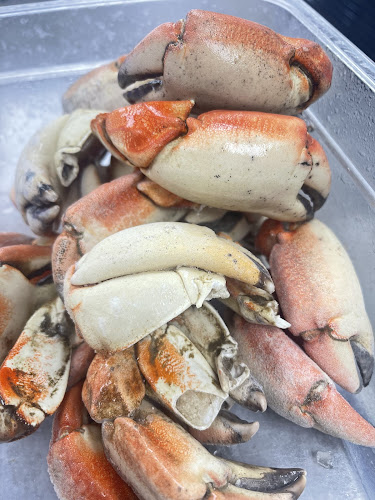 Opinii despre Mama seafood în Hollywood - Hospitality and gastronomy