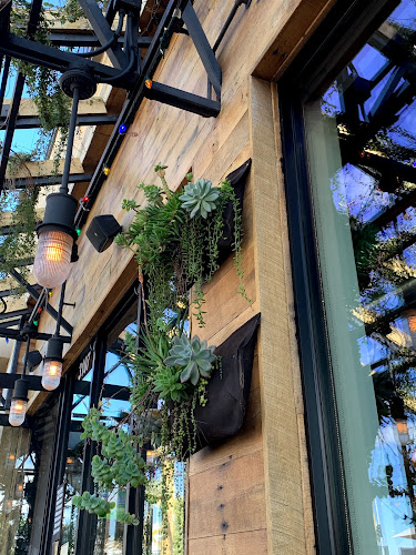 Chihuahua Cerveza Taproom