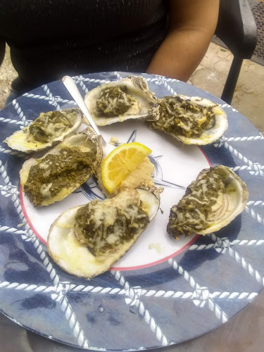 Comentarii opinii despre The Cove