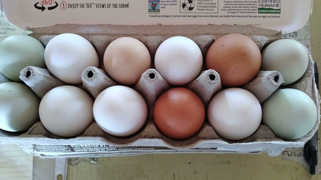 Opinii despre Pine Island Tropical Fruit Market în Bokeelia - Hospitality and gastronomy