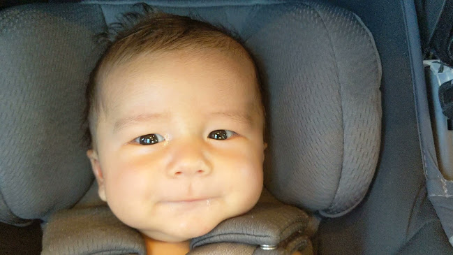 Havana Savannah - Valencia