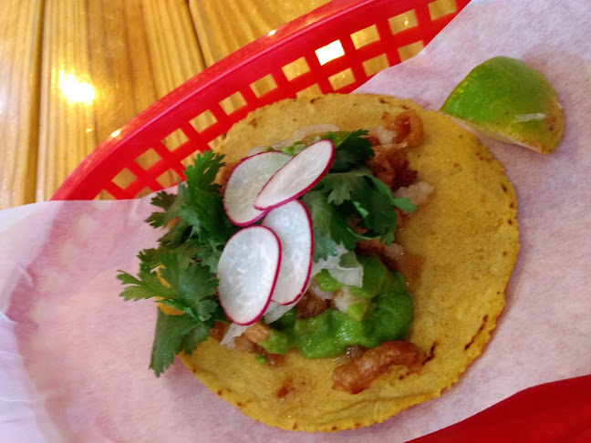Black Rooster Taqueria - Orlando