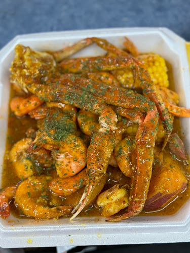 7107 N Nebraska Ave, Tampa, FL 33604