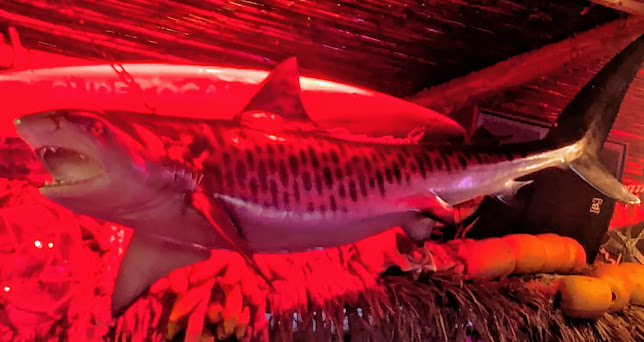 Opinii despre Baja Sharkeez în Huntington Beach - Hospitality and gastronomy