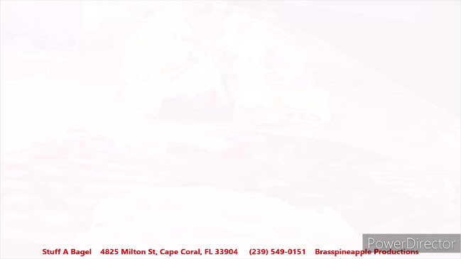 4825 Milton St, Cape Coral, FL 33904