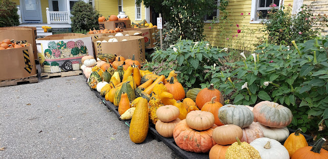 Comentarii opinii despre Dimond Hill Farm