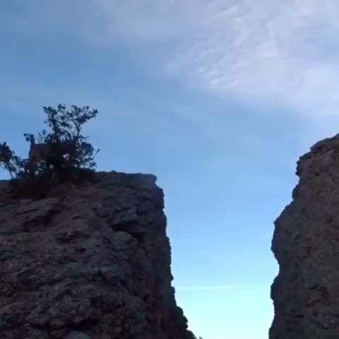 Ed & Mary's - Hospitality and gastronomy