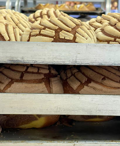 Opinii despre Panaderia Nuevo León ( Nuevo León Bakery ) în Tyler - Hospitality and gastronomy