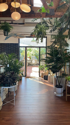 Caffio Espresso Bar - Phoenix