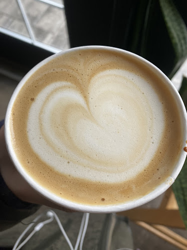 Bakery, 89 Charlotte St, Rochester, NY 14607