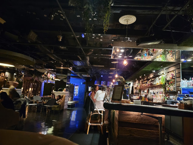 Vin de Syrah - Hospitality and gastronomy