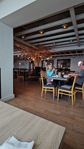 Opinii despre Blue Ocean / Harumama în La Jolla - Hospitality and gastronomy