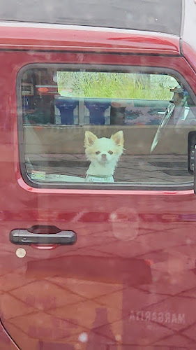 Comentarii opinii despre Ruben's Liquors