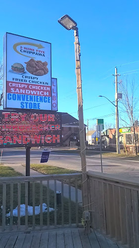 2 Nine Five ( House of Artisan Chicken Burgers & Gourmet Fish & Chips) - Niagara Falls