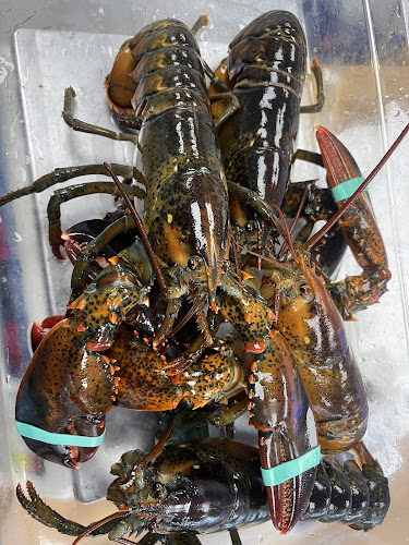 Comentarii opinii despre Mama seafood